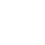 A51 Logo White@2x
